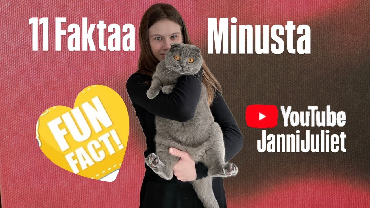 YKSITOISTA FAKTAA MINUSTA