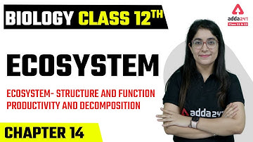 Class 12 Biology Chapter 14 | Ecosystem | Structure and Function | Ecosystem Productivity