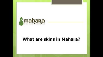 What are skins in Mahara?