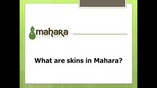 What Are Skins In Mahara?