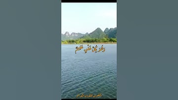 سورة يس - عبد الباسط عبد الصمد (أَوَلَمْ يَرَ الْإِنْسَانُ أَنَّا خَلَقْنَاهُ مِنْ نُطْفَةٍ