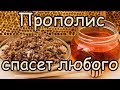 ПРОПОЛИС Лечение и Применение [Лечение практически любой болезни с помощью прополиса]