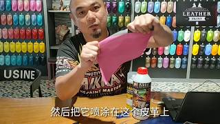 Leather Paint Ak304 皮革漆 Brand Aikka