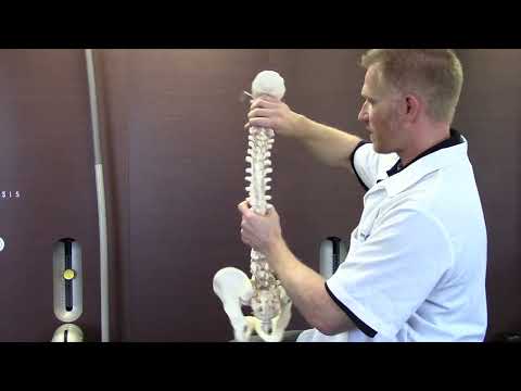 The Scoliosis Adams Test