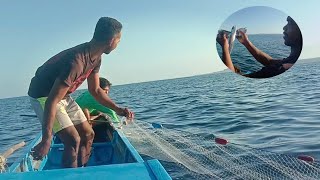 Dijamin PANEN IKAN dengan cara ini || Begini cara Nelayan tradisional menangkap ikan