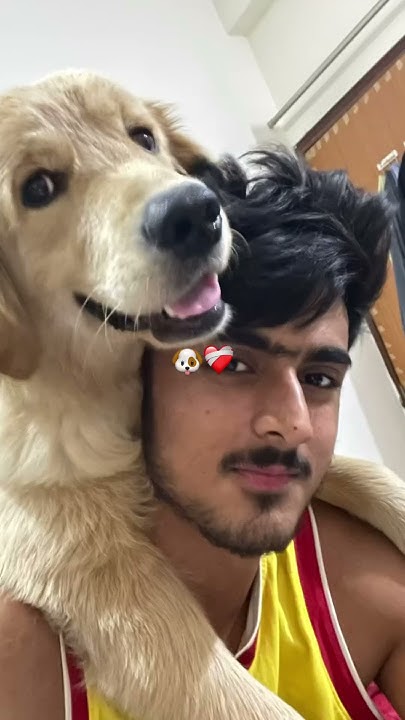 I Love This Waste Of Time turnip live goldenretriever goldenpuppy i-love-this-waste-of-time-turnip-live-goldenretriever-goldenpuppy