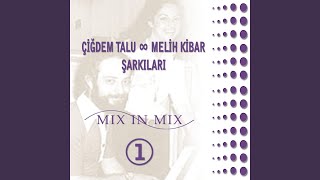 Deli Divane (Radio Edit [Colour Of Love])