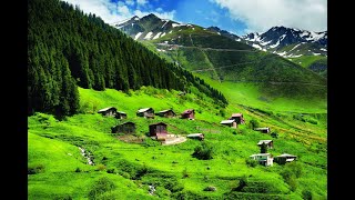 En Sevi̇len Karadeni̇z Müzi̇kleri̇ Kemençe Damar