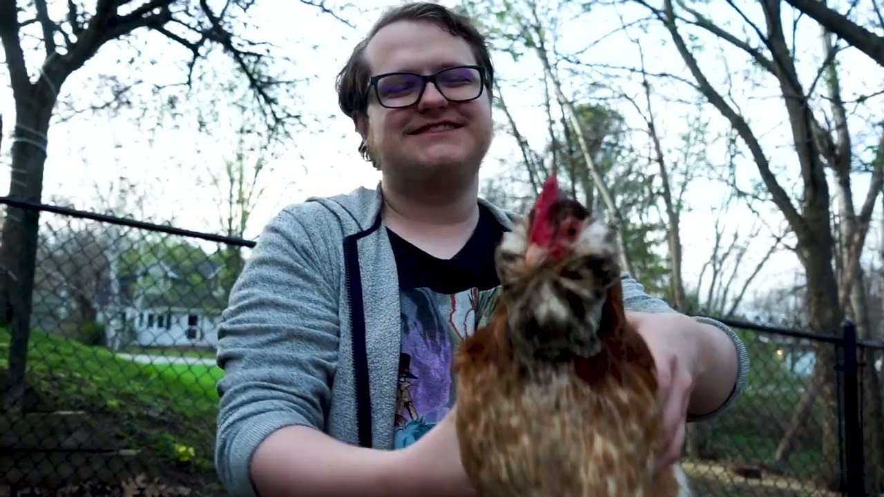 Chicken Time