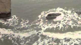 Ultima noticia: imagenes de sirena capturada en Israel?