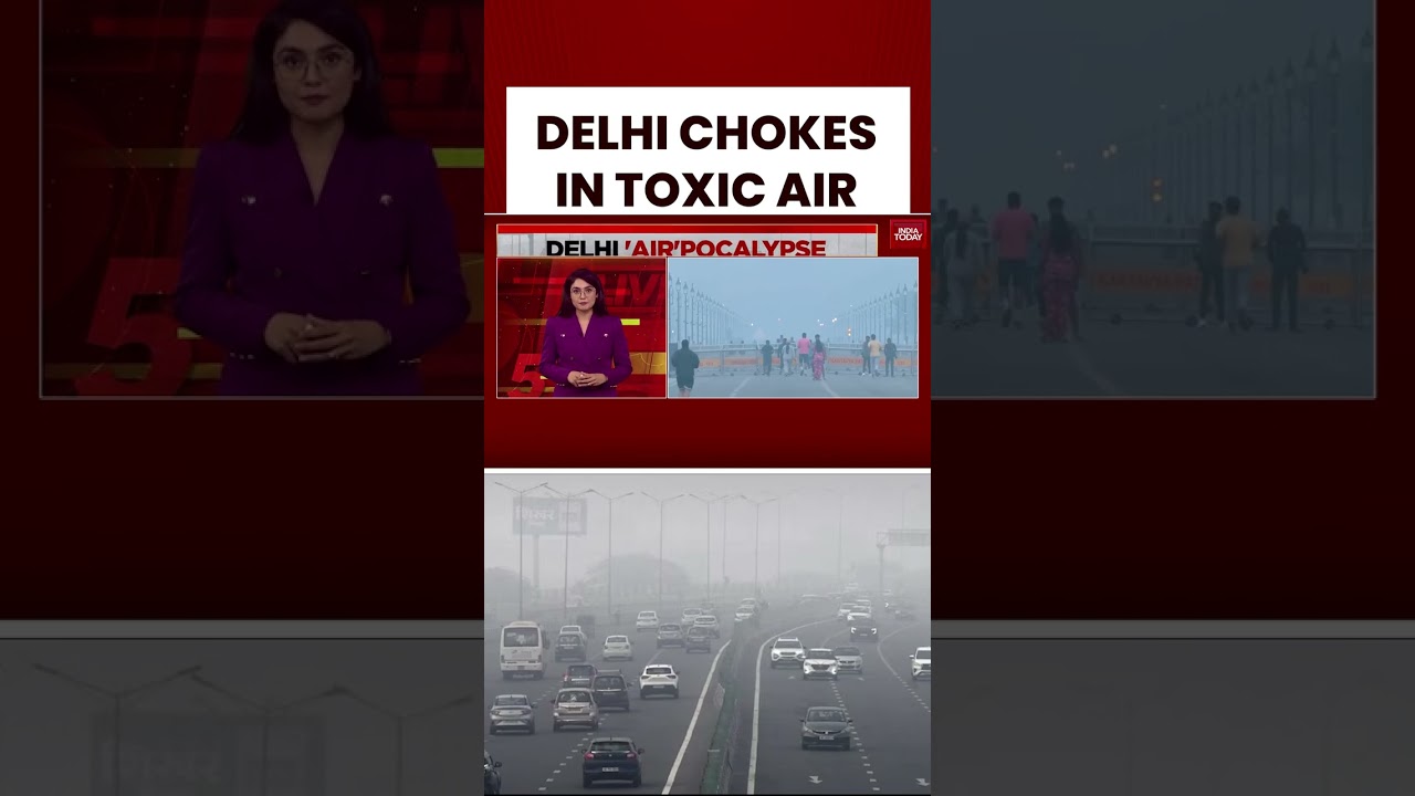 Дели задыхается в токсичном воздухе на фоне политических обвинений