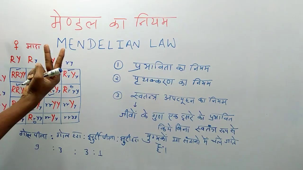 Mendals Set Math Mendal's experiment||मेन्डल के नियम || 3 Mendelian law of inheritance ...