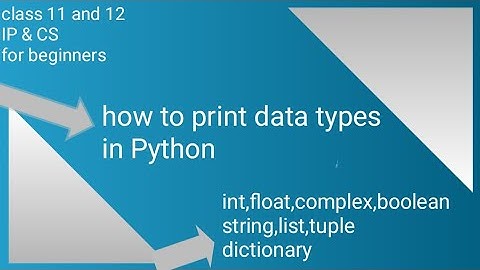 how to print data types in python || Class 11 IP & CS CBSE