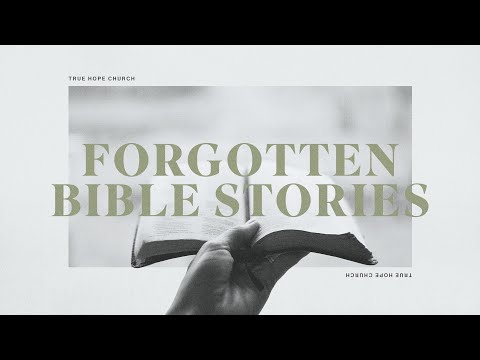 Forgotten Bible Stories Abigail: The Woman Who Saved Her Husbands Neck 1 Sam. 25:1-43