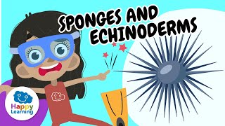 discover the world of marine invertebrates educational videos for children happylearningeng