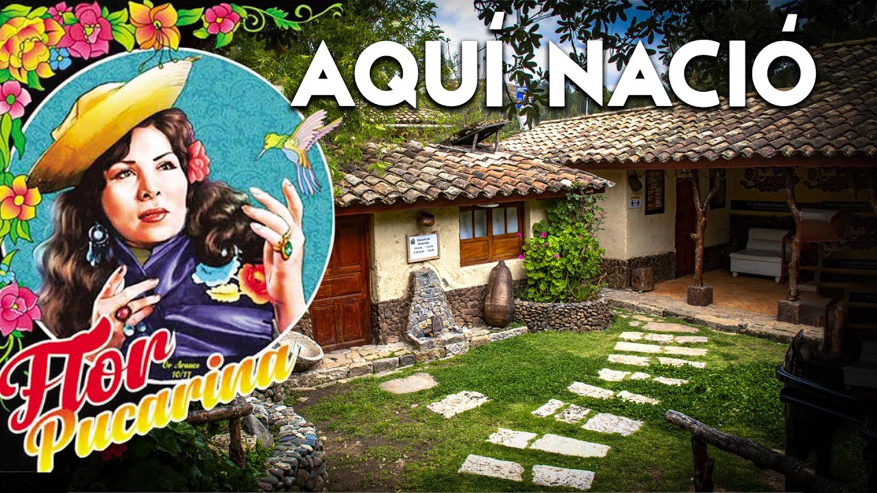 FLOR PUCARINA. ¿Sabes qué TESOROS GUARDA la casa de la FARAONA del CANTAR HUANCA?