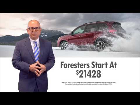 Subaru Dealers In Ct >> Subaru Dealership Premier Subaru Branford Ct Subaru Forester Subaru Dealers In Ct >> Subaru Dealership Premier Subaru Branford Ct Subaru Forester