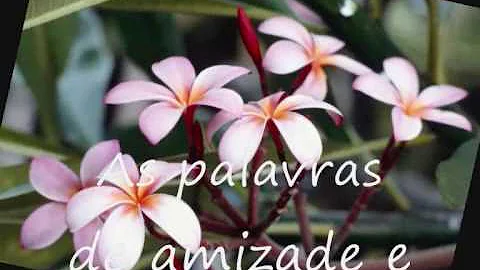 Quem disse a frase a amizade é um amor que nunca morre?