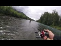 Fishing Red Salmon on the Kenai River in Southern Alaska! Limited Out