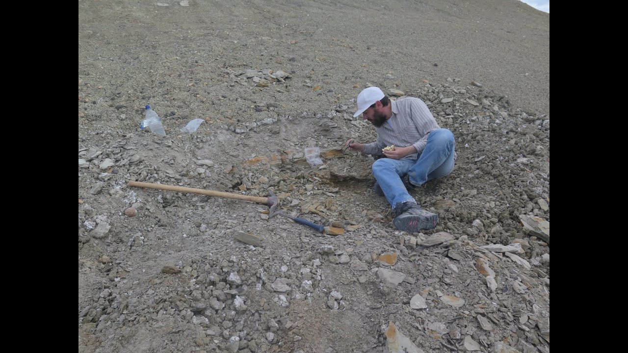 What the bone microstructure reveals about a small-bodied plesiosaur