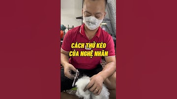 Cách thử kéo cắt tóc của nghệ nhân sau khi mài kéo | Quang 3S #maikeo #maikeocattoc #quang3s