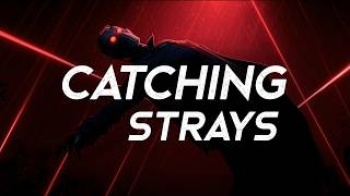 When You're Constantly Catching Strays  - A Playlist (LYRICS)