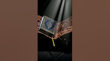 تلاوة خاشعة من سورة البقرة #quran #المصحف #اكسبلور #القزابري #birds #تيك_توك #العظماء #chorts