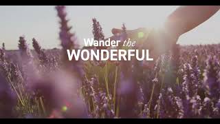 Headwater: Wander the Wonderful