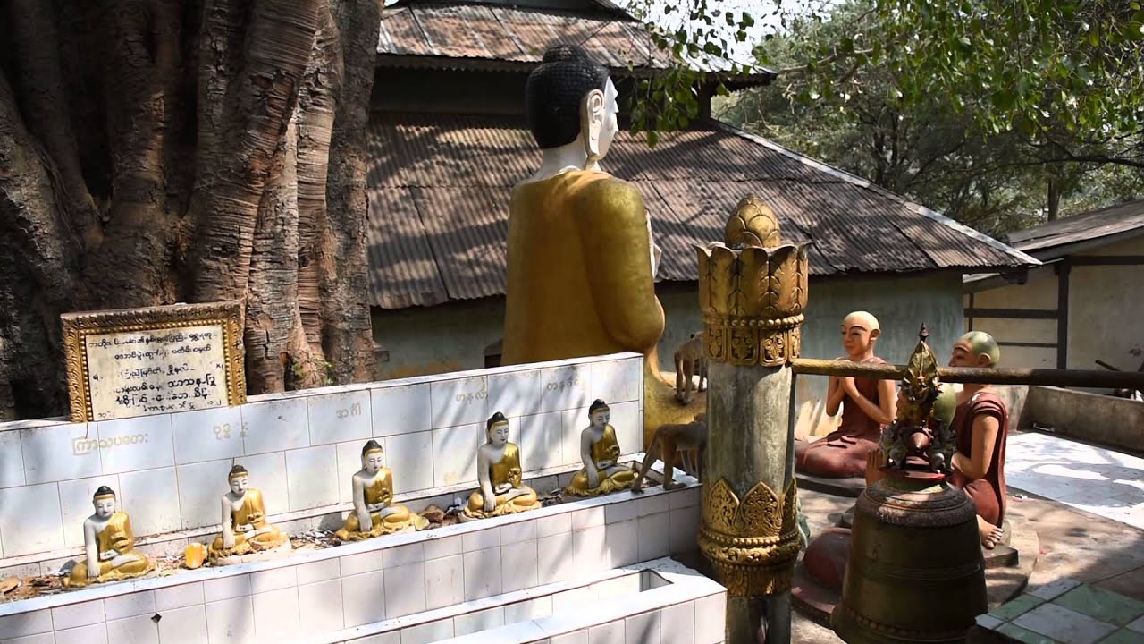 First encounter with Macaque monkeys at the bottom of Mount Popa, Myanmar