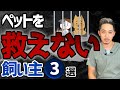 【衝撃】ペットを救えない飼い主の特徴３選を現役獣医師が大暴露します