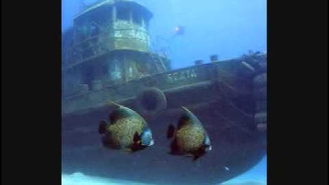 Diving into the Wreck