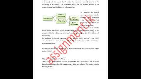 External environment analysis of the tourism industry Assignment