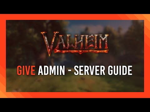 Give Admin & Run commands | Valheim Dedicated Server