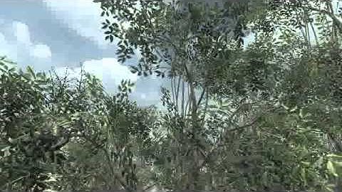 Black Ops spawn tomahawk Jungle