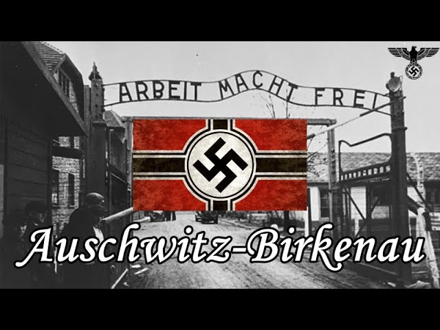 Auschwitz - Birkenau, the Nazi extermination camp  (4K video)