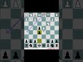 Blackmar-Diemer Gambit: Lemberger Countergambit #Chess #ChessOpenings #chessmaster #chessstrategy