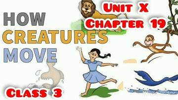 English Class lll Unit X Chapter 19 How creatures Move (English/Hindi full explanation)