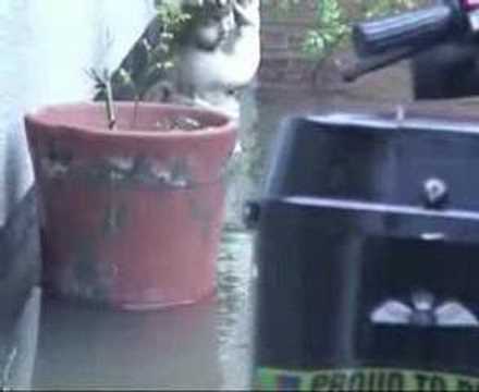 Flood waters inside the living room of a house in Lincoln. Footage by the Lincolnshire Echo.