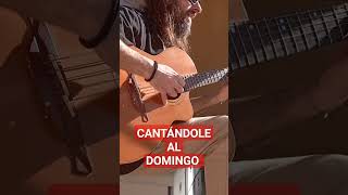 CANTÁNDOLE AL DOMINGO #lacajadepandora #musica #music #caballitosdemar  #blancoynegro #guitarra