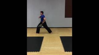 Basic Nunchuck Form