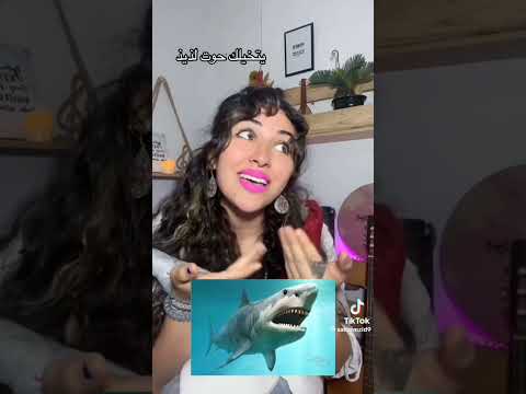 مرة في بحرنا اسيل 