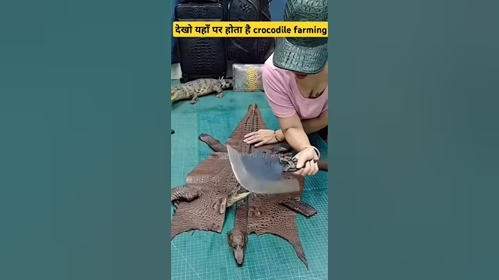 Crocodile farming॥ #shorts #science #facts #viral #trendingnow #dailyfacts #explore #foryou #farming