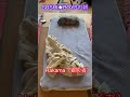 みんなの寝ている姿を...え?