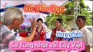 Bất ngờ nghe Gã Đầu Bạc so sanh giữa cây Việ Nam và Tùng Nhật rất thú vị