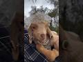 Guess the animals name ❓️ #amazingfacts #mindblowingfact #facts #viralvideo #gj #webfacts #allfacts