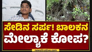 Kalaburagi : ಹಾವಿನ ದ್ವೇಷ 12 ವರ್ಷ ಅನ್ನೋ ಮಾತು ನಿಜಾನಾ ? ಉರಗತಜ್ಞರು ಹೇಳಿದ್ದೇನು ? | Prajwal |Newsfirst