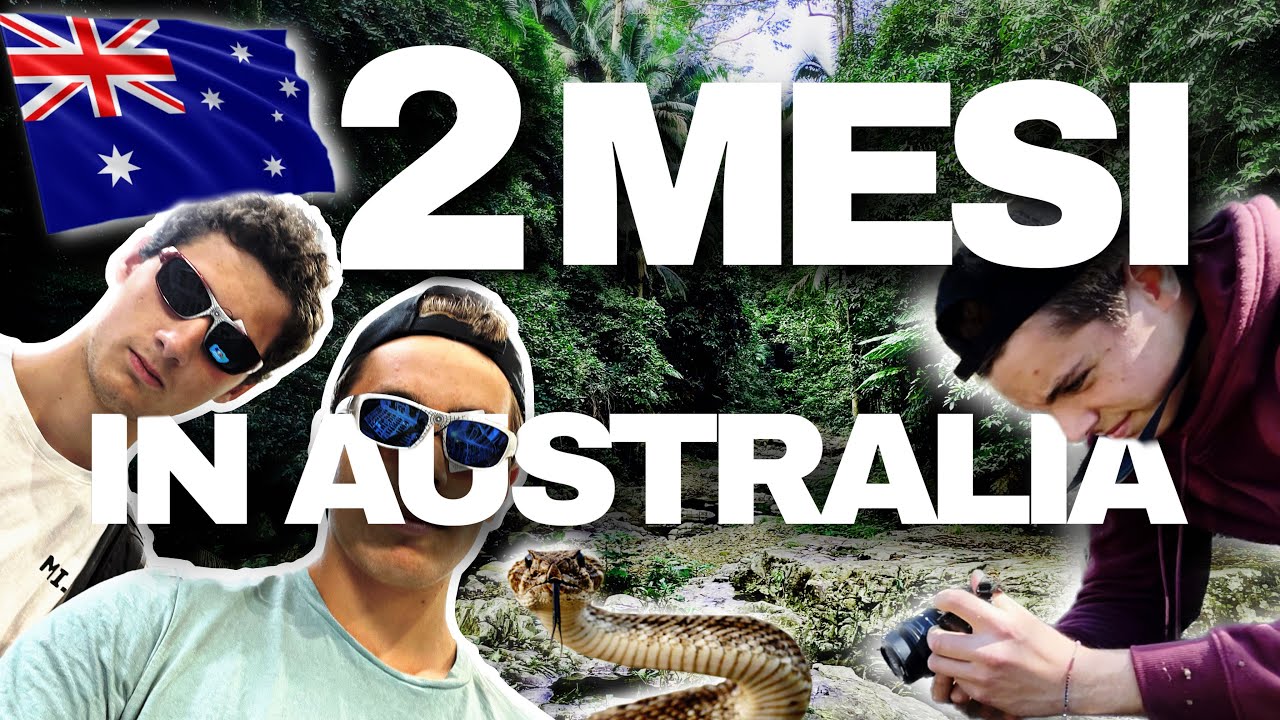 2 MESI in AUSTRALIA 🇦🇺 || La mia Esperienza da Studente Internazionale ...