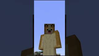 MY MORT MADAGASCAR MINECRAFT SKIN #shorts