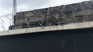 IMG 3288
