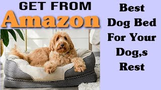 Best Dog Beds Review 2019 Best Rated Dog Beds